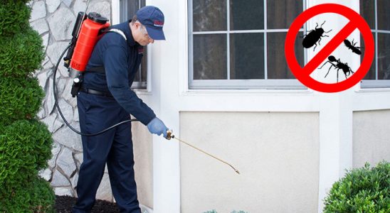 Adapazarı Gümüşkurt İlaçlama böcek ilaçlama ve haşere kontrolü — ilaclama-tr.com